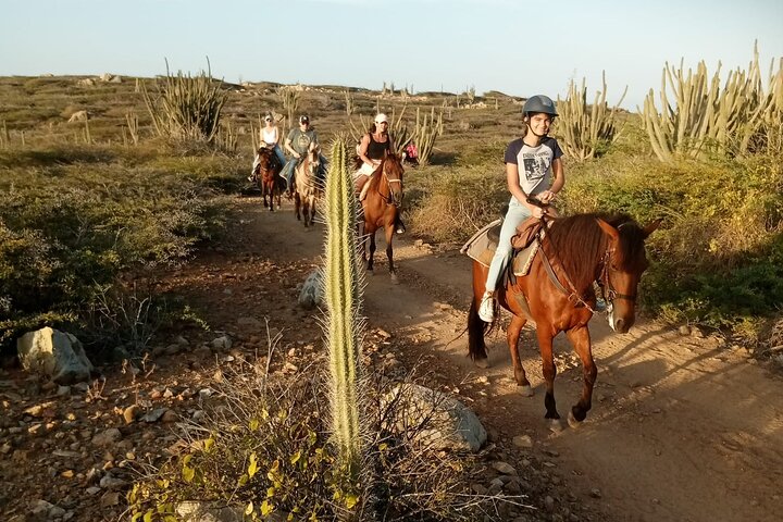 Aruba Ecological & Coastline Horseback Ride with Beach Photo Stop