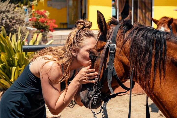 Aruba Ecological & Coastline Horseback Ride with Beach Photo Stop