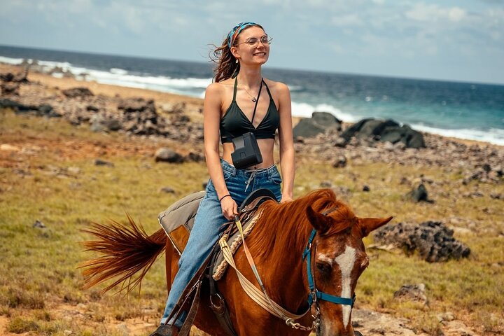 Aruba Ecological & Coastline Horseback Ride with Beach Photo Stop