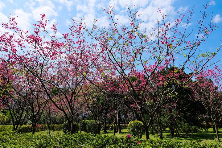 Keelung Shore Excursions: Private 6-Hour Taipei City Adventure!