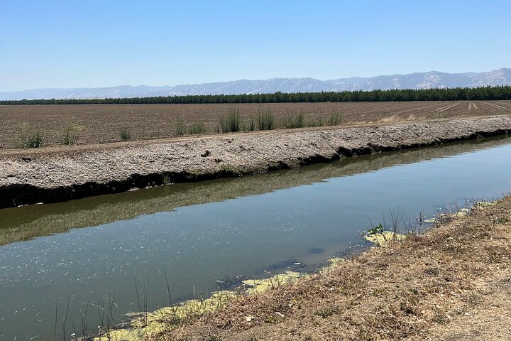 Yolo County Explorer: Culinary & Cultural Audio Tour