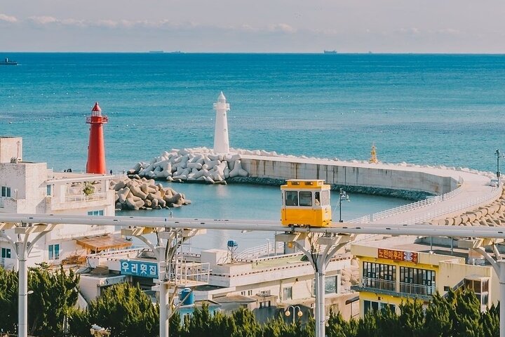 Private Busan Tour - Explore Landmarks with a Licensed Guide