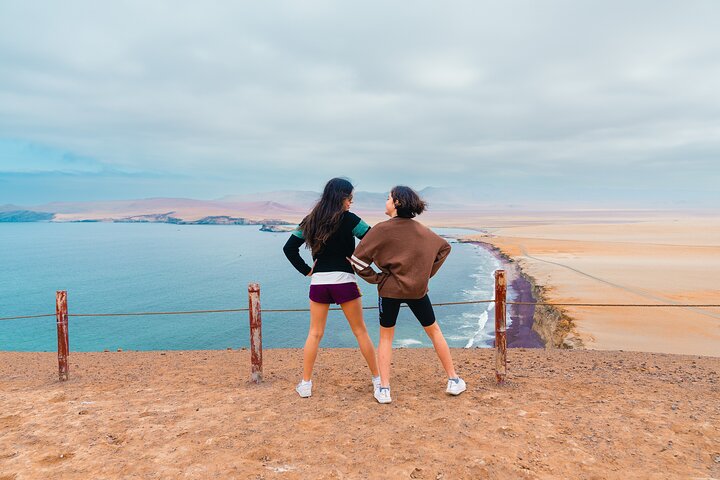 Tour the Paracas National Reserve in a MiniBuggy