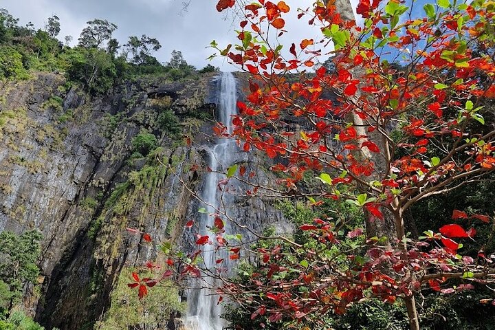 Diyaluma Waterfall and Natural Pool Bath With Lunch