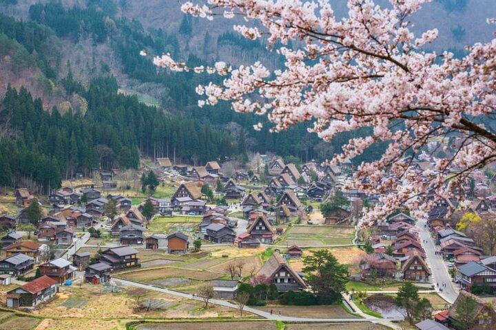 1 Day Private Charter Tour to Shirakawa-go & Takayama