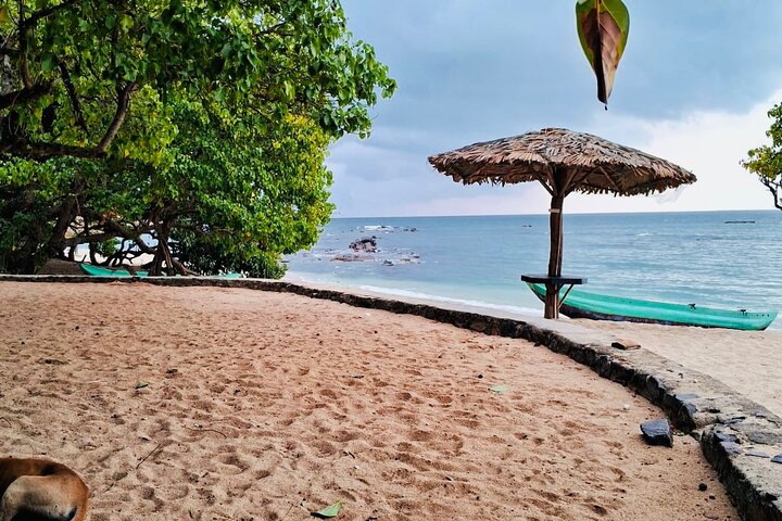 Southern Sri Lanka Sightseeing Day Trip From Colombo & Negombo