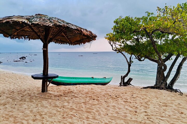 Southern Sri Lanka Sightseeing Day Trip From Colombo & Negombo