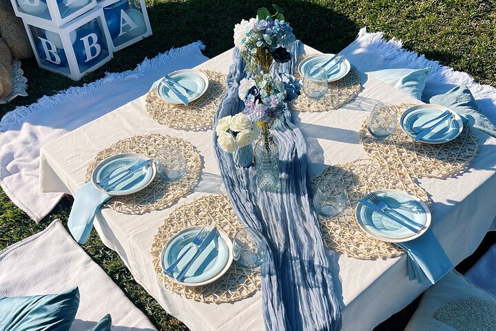 Romantic Picnic by the beach