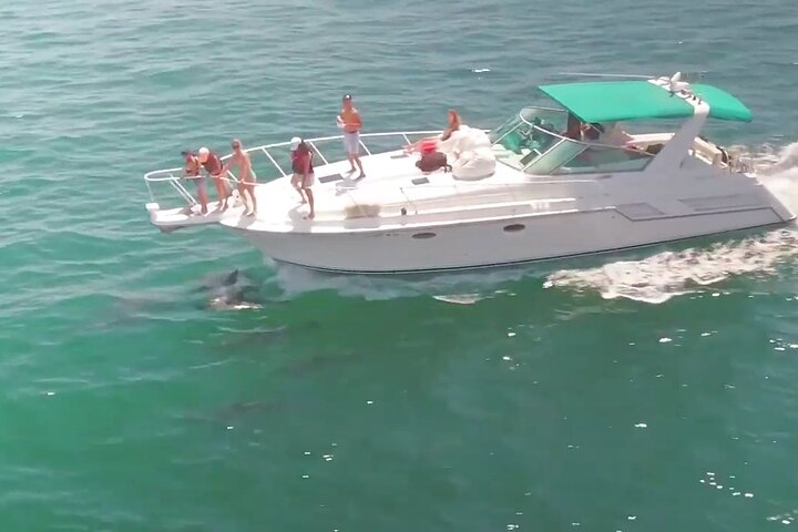 LA: Birthday Special Private Yacht (1 ticket covers 1-6 people)
