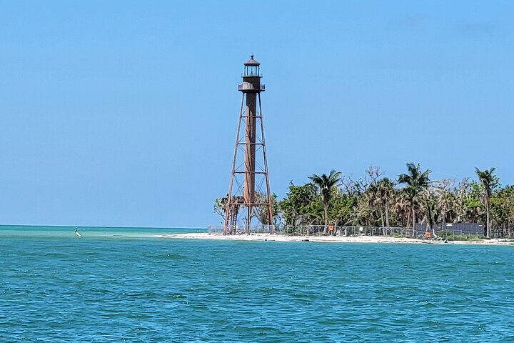 Fort Myers Beach Dolphin & Sightseeing Tour Refreshments Included