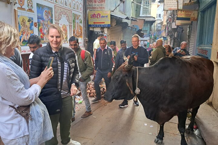 One Day Admirable tour in Varanasi Private Guided Tour