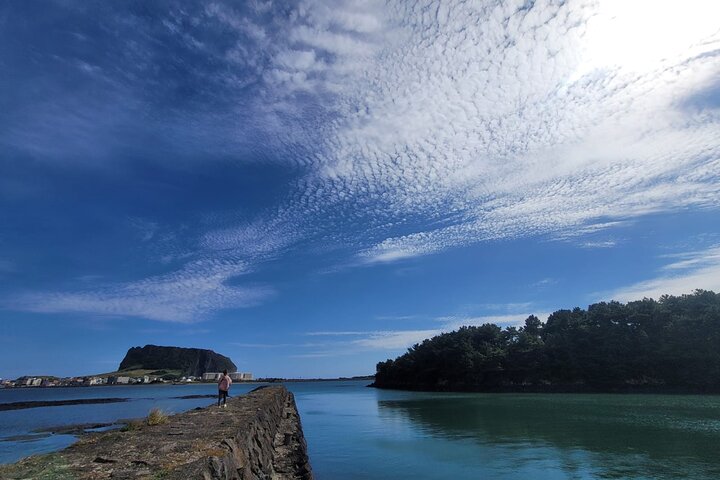 Package tour of All areas of Jeju Island-(East &South &West)