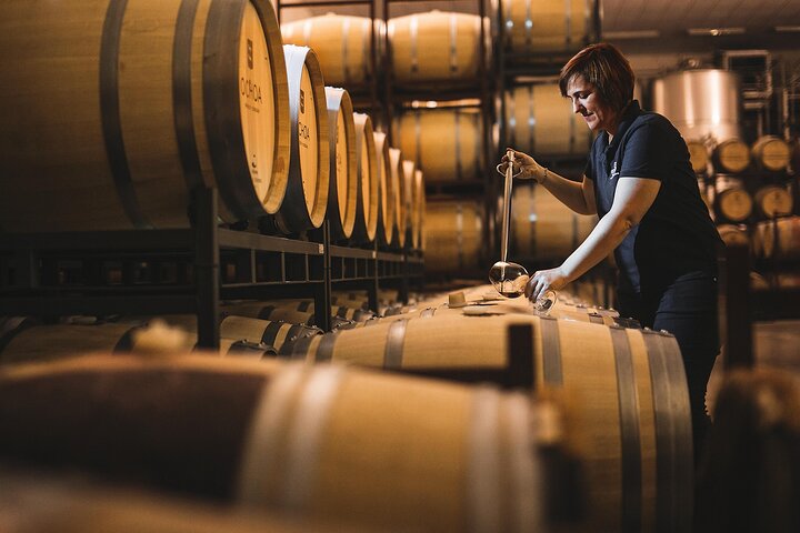 La Rioja wines and Laguardia tour from San Sebastian