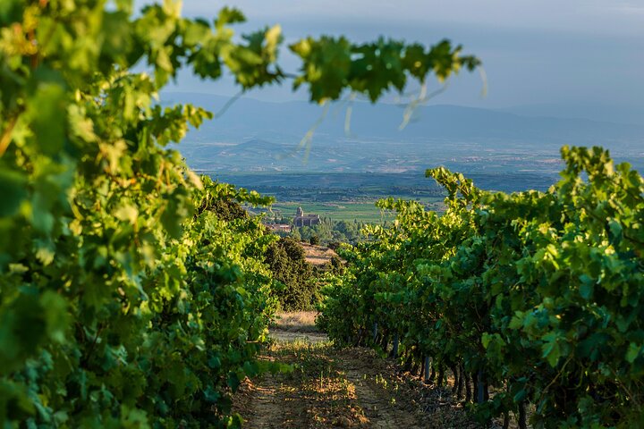 La Rioja wines and Laguardia tour from San Sebastian