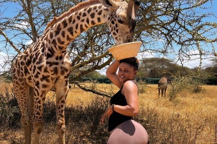 Kilimahewa safari full and real wild