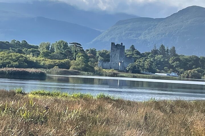 1 Hour Guided Carriage Tour in Killarney National Park