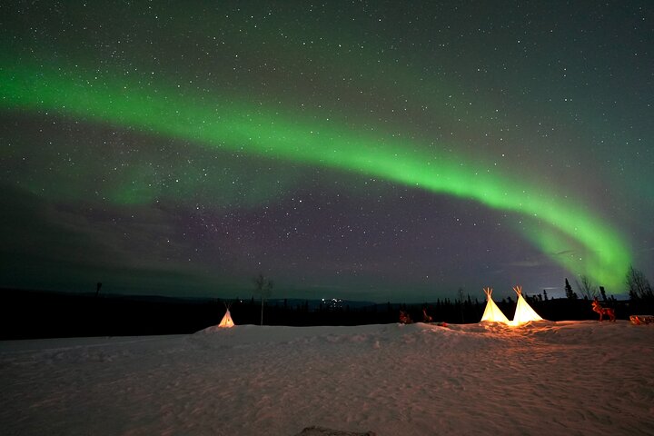 Mountaintop 360° Best Alaskan Cabin with Photography @Aurora Camp