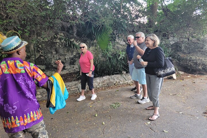 Nassau's Half Day Bus City Tour: Guided Tour with Free Samples