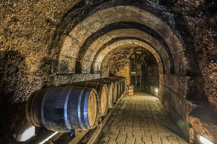 La Rioja wines and Laguardia tour from San Sebastian