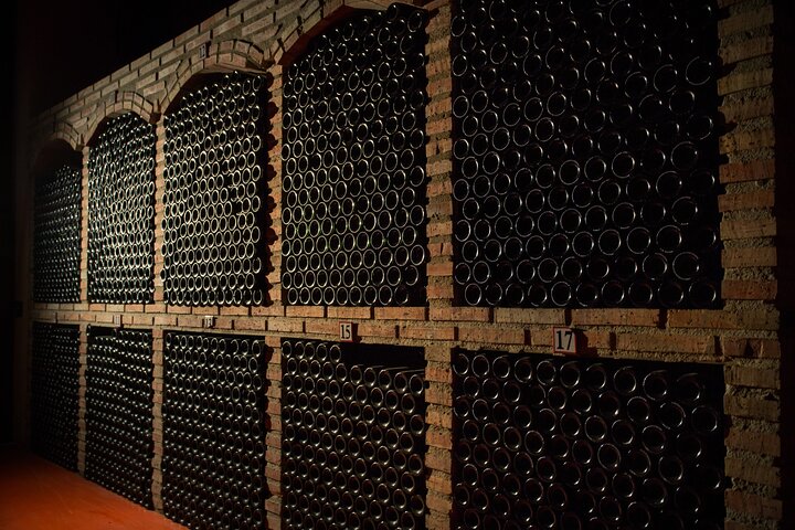 La Rioja wines and Laguardia tour from San Sebastian