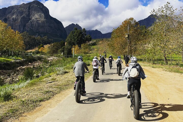 E-Bike Tour Franschhoek Countryside (Half Day)