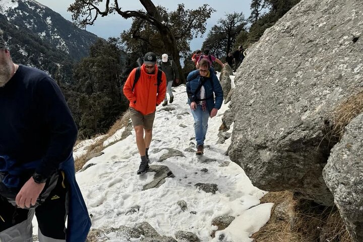 Hiking Day Tour to Triund from Dharamshala