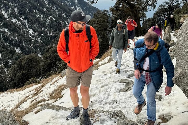 Hiking Day Tour to Triund from Dharamshala