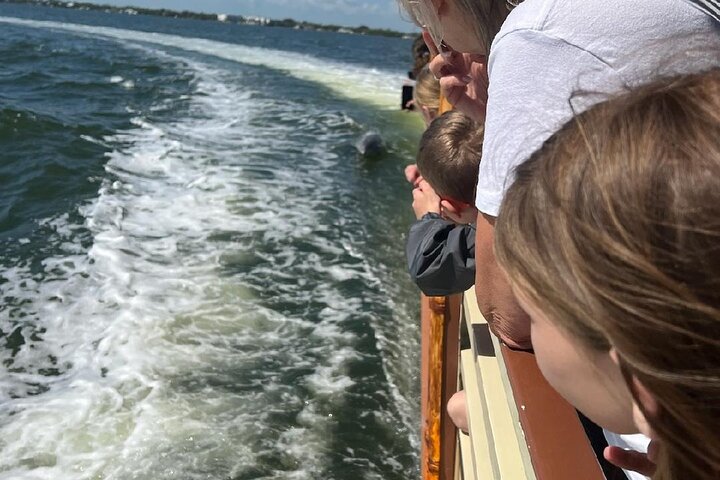 Cocoa Beach Dolphin and Wildlife Tour