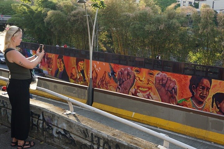 Historical Shared Tour Salsa, Graffiti & Resistance in Cali