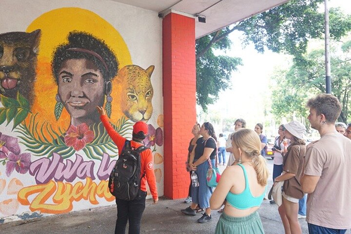 Historical Shared Tour Salsa, Graffiti & Resistance in Cali