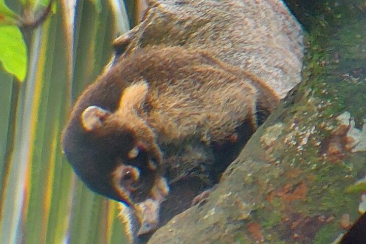 Cahuita National Park Tour and Water Experience in Puerto Viejo