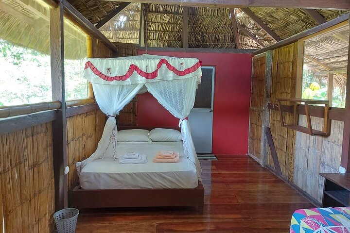 Amazon tours 3 days Yasuni Park and Limoncocha Reserve