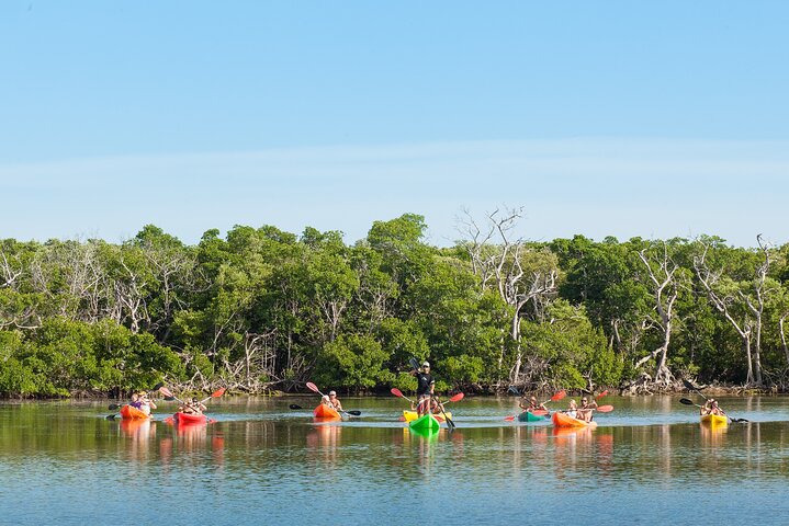 Half-Day Trip from Key West with Kayaking, Snorkeling & Sunset