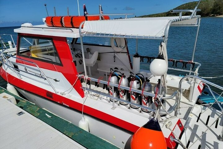 2-Tank Scuba Boat Trip in World-Class Sites @ Copamarina