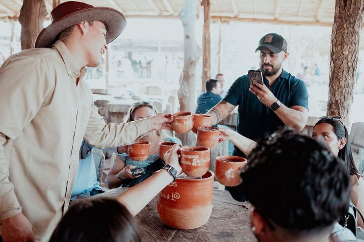 Full Day Tour to Tequila and Amatitán with Fun and Culture