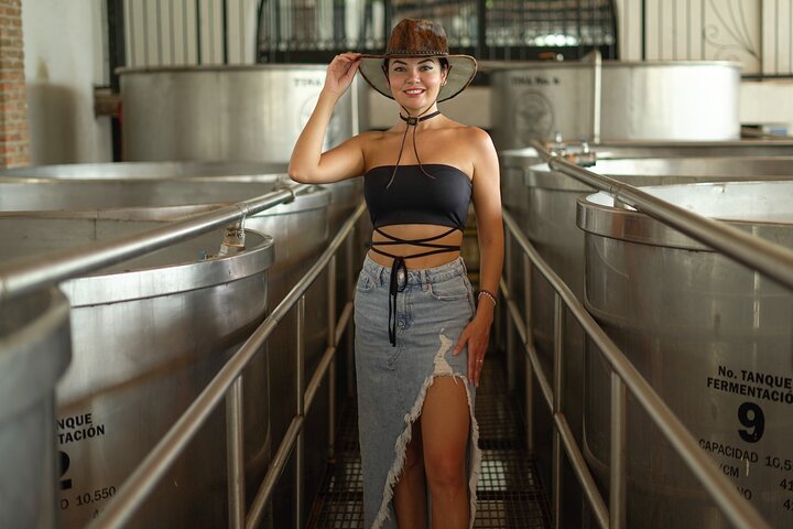 Full Day Tour to Tequila and Amatitán with Fun and Culture
