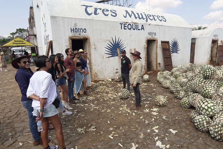 Full Day Tour to Tequila and Amatitán with Fun and Culture