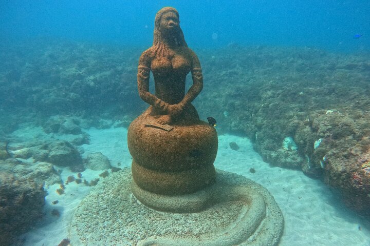 4-hour snorkel cruise to Underwater Sculptures with boat dogs