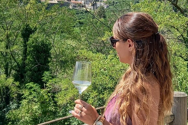 2 Guests Private Prosecco Road Tour All Inclusive from Conegliano
