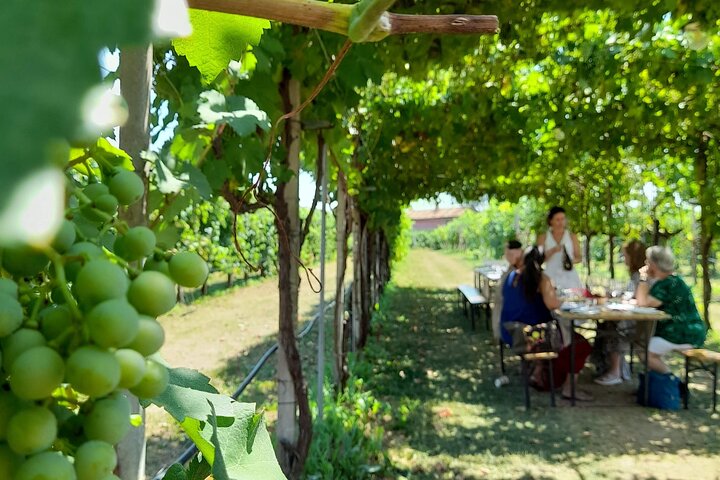2 Guests Private Prosecco Road Tour All Inclusive from Conegliano