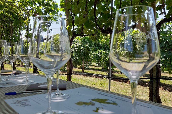 2 Guests Private Prosecco Road Tour All Inclusive from Conegliano