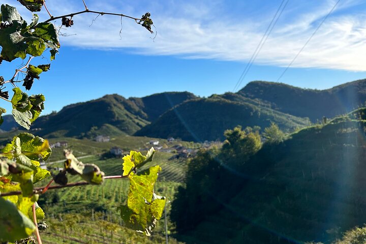 2 Guests Private Prosecco Road Tour All Inclusive from Conegliano