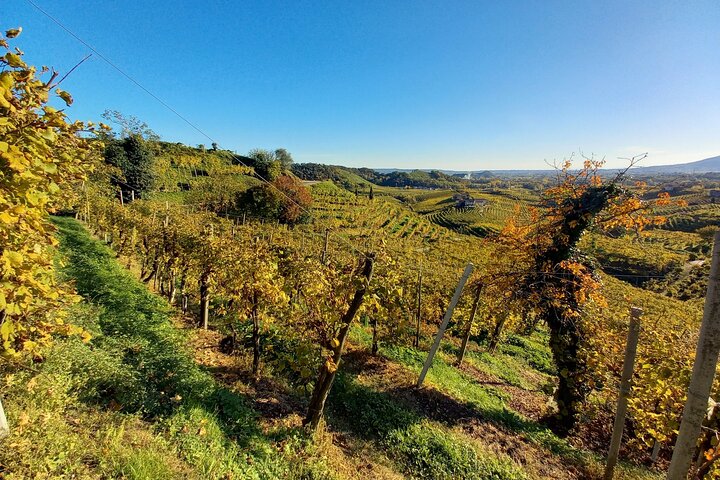 2 Guests Private Prosecco Road Tour All Inclusive from Conegliano