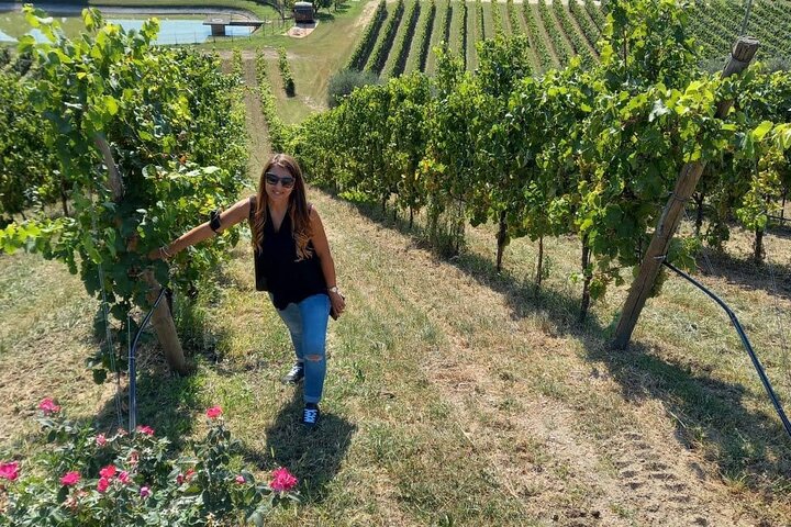 2 Guests Private Prosecco Road Tour All Inclusive from Conegliano