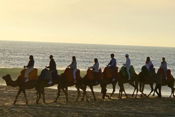Explore Tangier: Cape Espartel, caves and camel ride.