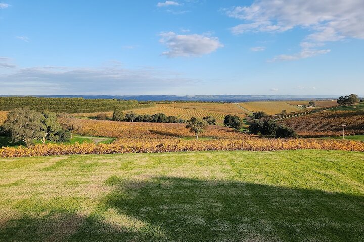 McLaren Vale Private Wine Tour