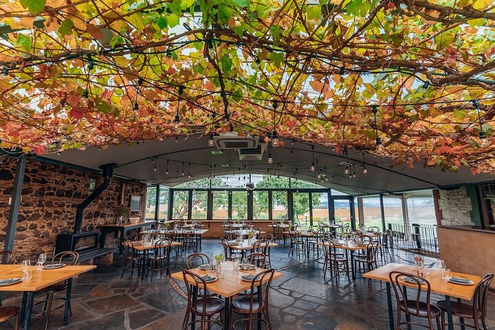 McLaren Vale Private Wine Tour