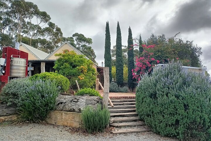 McLaren Vale Private Wine Tour