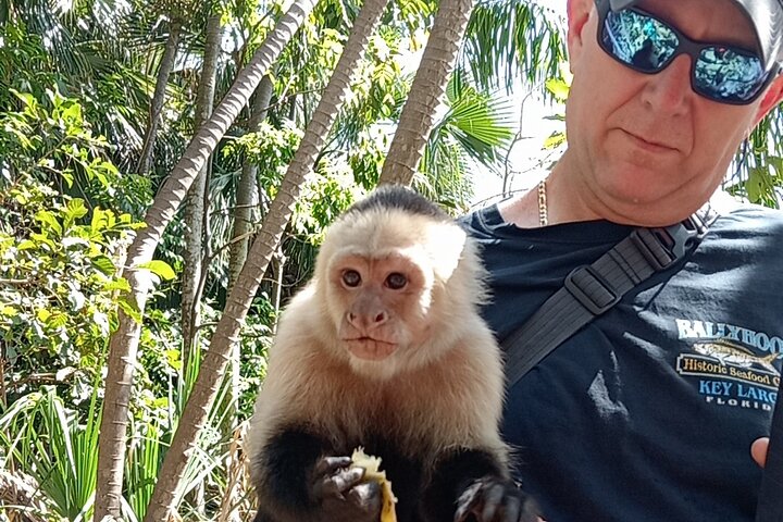 Hike 10 waterfalls in Jaco lunch included