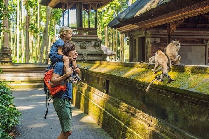 Ubud: Monkey Forest, Jungle Swing, Rice Terrace and Water Temple